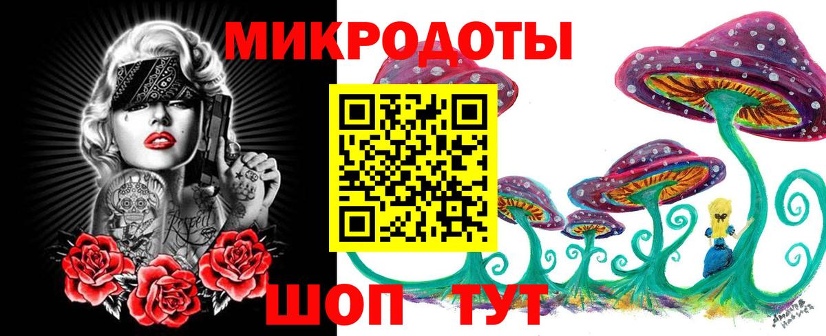 Псилоцибиновые грибы Cubensis Тамбов